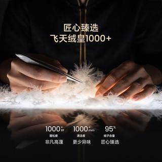 高梵 抱抱鹅绒服 1000蓬 短款羽绒服 紫金4号 XS
