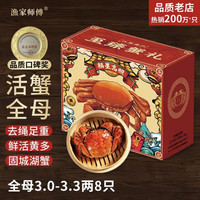 渔家师傅 漁家师傅大闸蟹全母3-3.3两8只固城湖螃蟹去绳足重鲜活现货生鲜礼盒中秋送礼
