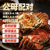 隆上記 隆上记大闸蟹鲜活现货 公3.8-4.1两 母2.8-3.1两 8只螃蟹中秋礼盒去绳足重