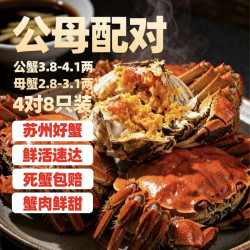 隆上記 隆上记大闸蟹鲜活现货 公3.8-4.1两 母2.8-3.1两 8只螃蟹中秋礼盒去绳足重
