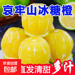 京喜加 云南玉溪 青皮冰糖橙 带箱 3斤 果径 60-65mm