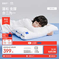 蓝盒子 枕中枕N3记忆棉枕头成人深睡枕护颈枕新品抗菌防螨慢回弹10/12cm