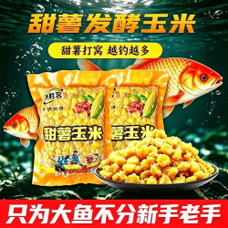 老坛发酵甜薯玉米打窝料鲤鱼饵料草鱼饵料湖库钓鱼