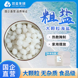 鲁晶 大粒海盐粗盐大颗粒热敷净宅腌菜食品级家用正品