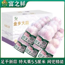 富之鲜 特大果55mm+条装大蒜头网兜紫白皮干蒜批发红皮蒜彩箱