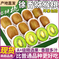 巨无霸 陕西眉县 特大果 徐香猕猴桃 2.5斤装 单果110-130g