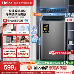 海尔 XQB80-Z10D0 波轮洗衣机 8kg 博卡灰