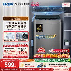 海尔 XQB80-Z10D0 波轮洗衣机 8kg 博卡灰