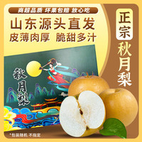 东鲜丰山东秋月梨 中秋礼盒送礼 新鲜水果脆甜冰糖梨子 当季水果 5斤普通装净重4.5斤 源头直采
