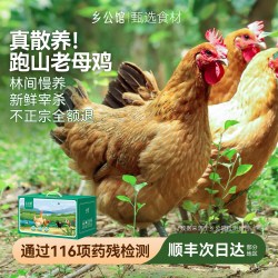 乡公馆 农家散养 土鸡  包装 整只 1100g
