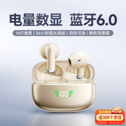 爱国者 TQ15 半入耳式单动圈蓝牙耳机 鎏金米 Type-C