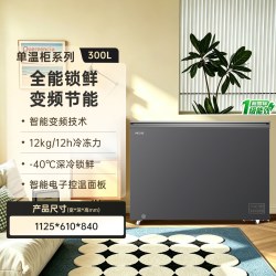 美菱 DT系列 节能冰柜