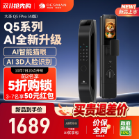 德施曼 Q5FPRO(2.0) 人脸识别双摄 智能锁