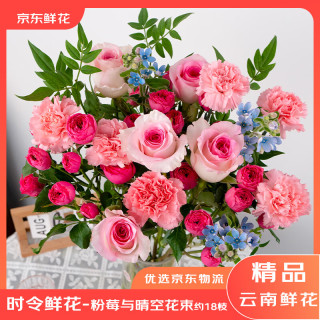 京东鲜花 粉莓与晴空鲜花花束玫瑰康乃馨15-19枝源头直发