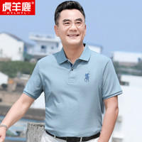 简约爸爸夏装短袖t恤polo衫上衣复古时尚中老年男士t恤