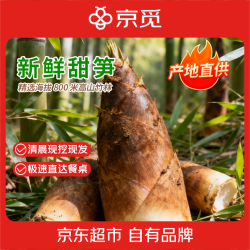 京觅 云南新鲜甜笋大龙竹笋 净重3斤 单果300g+ 免焯水 源头直发包邮