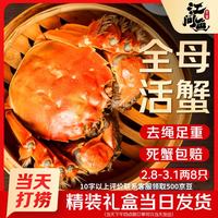 江问鱼 鲜活大闸蟹螃蟹全母足斤足两生鲜2.5-2.8两 10只装 源头直发 全母蟹2.5-2.8两 10只装
