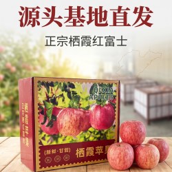 正宗栖霞红富士苹果 礼盒装 4.5斤