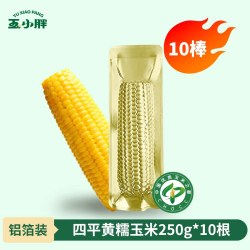 玉小胖26年新玉米东北黄糯玉米黄金铝箔整箱香甜低脂早餐8根*220g