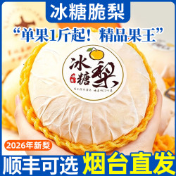 沐小七果蔬 山东莱阳冰糖秋月梨 9S级 净重4.5斤