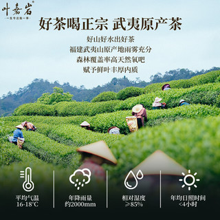 叶嘉岩 老枞水仙 武夷岩茶 铁罐装
