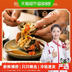 阳澄有礼 全母2.6-2.9两6只阳澄有礼大闸蟹礼盒装特大鲜活去绳净重足两中秋送礼