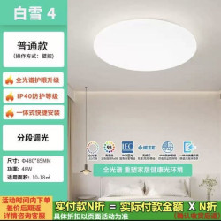 雷士 Lighting 雷士 NVC  白雪系列 led吸顶灯套装