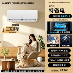 AUFIT KFR-26GW/BpR3AFEA(B1) 一级能效变频冷暖 壁挂式空调