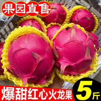 果迎鲜 金都一号红心火龙果 5斤装（9-12枚）