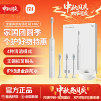 米家 T302 150天续航 银灰 电动牙刷