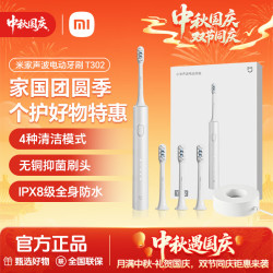 米家 T302 150天续航 银灰 电动牙刷