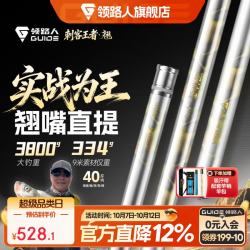领路人 刺客王者翘鱼竿翘嘴鱼竿综合碳素台钓超轻超硬长竿钓鱼装备手竿 12m 19调