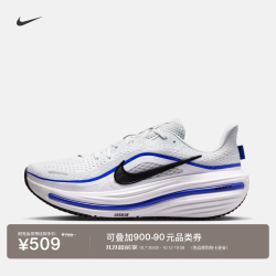 耐克 男子缓震公路跑步鞋秋冬运动透气NIKE WINFLO 12 HV9272 105米白/黑/白/狼灰/赛车蓝 42