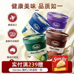 Bulla 薄荷巧克力曲奇香草大桶冰淇淋 460ml/290g