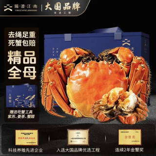 圣堂名钳 阳澄江南 大闸蟹鲜活螃蟹礼盒 母蟹3.0-3.3两 8只