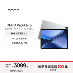 OPPO Pad 4 Pro 平板电脑（8GB、256GB、WiFi版、星河银）