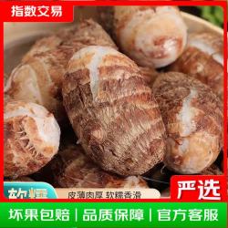 山东牛奶小芋头农家自种小芋头一分甘芋艿粉糯好吃 带箱2斤精品中果