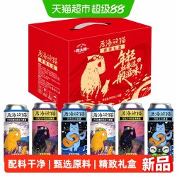 qingdashi 烈性精酿原浆组合500ml*6罐礼盒装德式小麦白啤艾尔IPA世涛