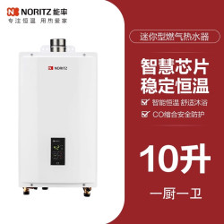 能率 JSQ22-A3 11升天然气强排式燃气热水器