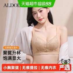 雅黛俪 无痕内衣女聚拢小胸显大上托防下垂收副乳无钢圈蕾丝文胸罩