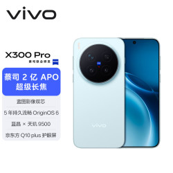 vivo X300 Pro 5G手机 12GB+256GB 自在蓝