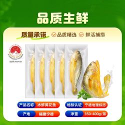 三都港 冰鲜黄花鱼350-400g/条 宁德原产地正宗大黄鱼生鲜海鱼新鲜