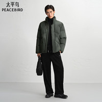 太平鸟 男装渐变晕染羽绒服新款立领面包服B2ACE4407 灰色1 2XL