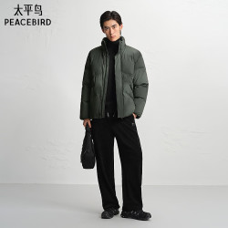 太平鸟 男装渐变晕染羽绒服新款立领面包服B2ACE4407 灰色1 2XL
