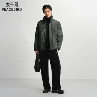 太平鸟 男装渐变晕染羽绒服新款立领面包服B2ACE4407 灰色1 2XL