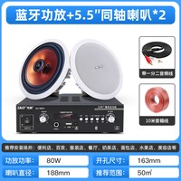 先科 S4-1同轴蓝牙吸顶喇叭天花吊顶音响套装店铺音箱嵌入式背景音乐家用功放机商用商场装修公共广播重低音