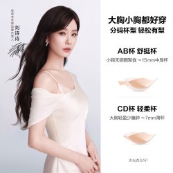 安莉芳 舒挺杯安莉芳蕾丝无钢圈内衣小胸显大聚拢提拉文胸