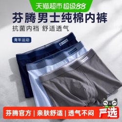 芬腾 男士纯棉内裤抗菌内裆平角裤男款青年运动舒适四角短裤头裤衩