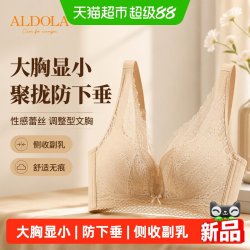 雅黛俪 性感蕾丝内衣女聚拢收副乳防下垂大胸显小调整型大码文胸罩