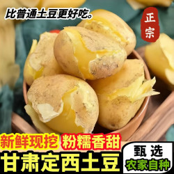 黄六爷 甘肃定西黄心土豆 5斤